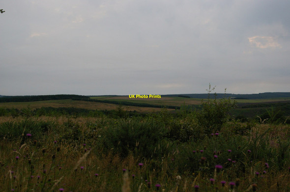 Photo 6"x4" Burn Howe Moor from Harwood Dale Forest Harwood Dale c2012