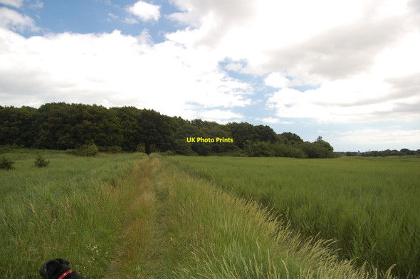 Photo 6"x4" The Suffolk Coast Path approaching Snape Warren Gromford c2012