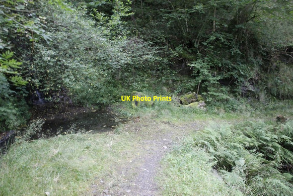 Photo 6"x4" Corner by the waterfall Llansantffraed-in-Elwel c2012