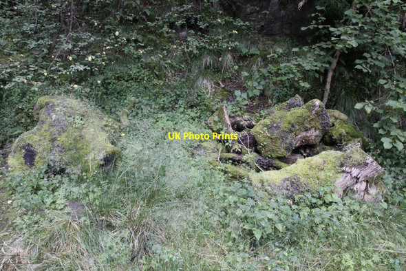 Photo 6"x4" Moss on the logs Llansantffraed-in-Elwel c2012