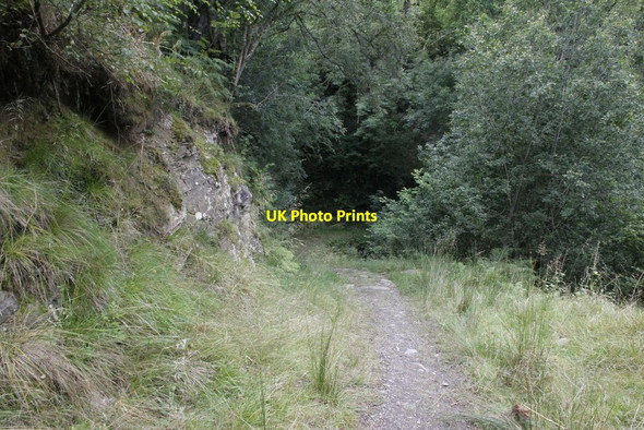 Photo 6"x4" Back to the bend Llansantffraed-in-Elwel c2012