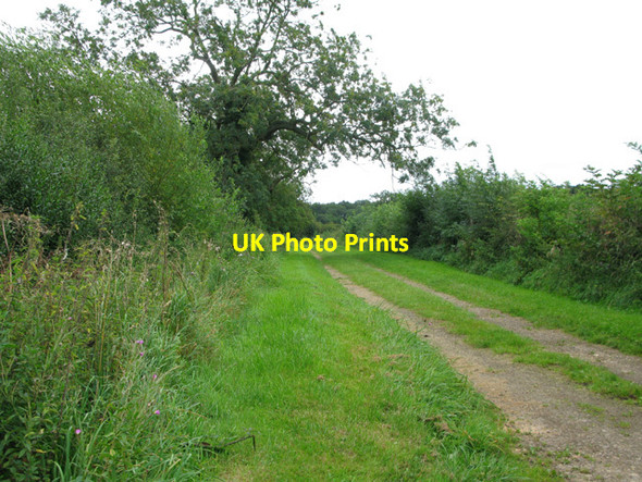 Photo 6"x4" Track to the eat of Poulton Poulton\/SP1001 c2012