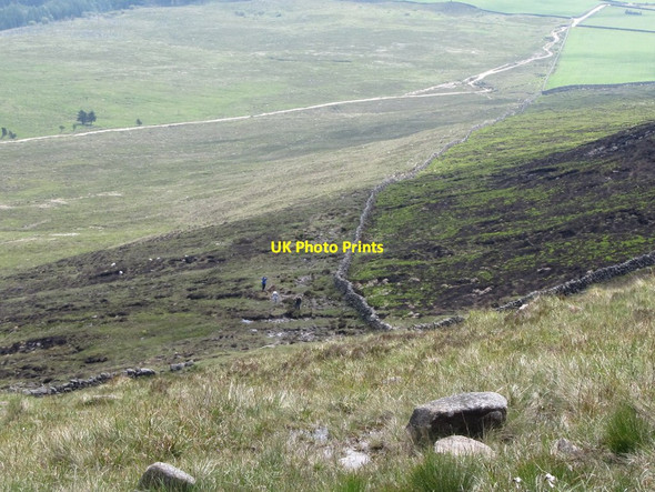 Photo 6"x4" Steeply descending section of the Binnian path Annalong c2011