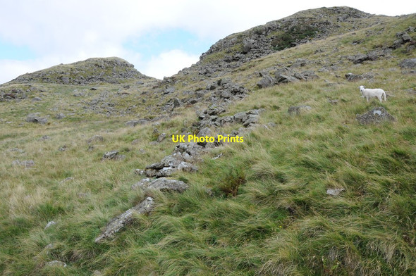 Photo 6"x4" Mountainside above Cwm Eigiau Llyn Cowlyd Reservoir c2012