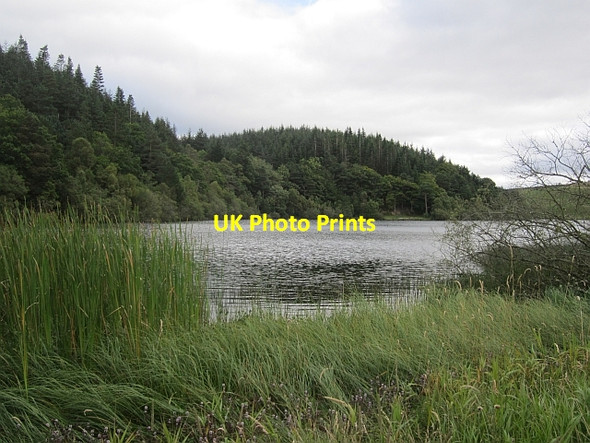 Photo 6"x4" Cauldshiels Loch Faldonside c2012
