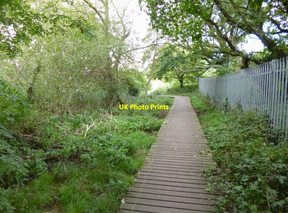 Photo 6"x4" Iford Meadows, boardwalk Christchurch\/SZ1592 c2012