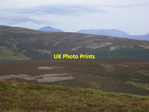Photo 6"x4" Moorland, Glen Ey Inverey\/NO0889 c2012