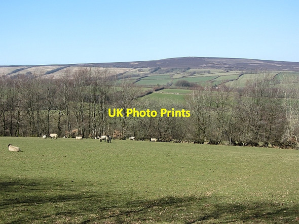 Photo 6"x4" Field off Thorne Lane Luckwell Bridge c2012