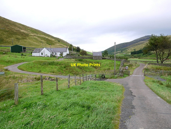 Photo 6"x4" Fleehope in College Valley Fawcett Shank c2012