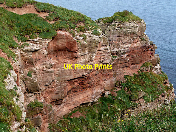 Photo 6"x4" Red sandstone cliffs on the Berwickshire Coast Highfields\/NT9954 c2012