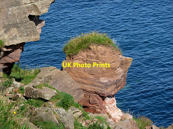 Photo 6"x4" Rock formations at the Berwickshire Coast Highfields\/NT9954 c2012