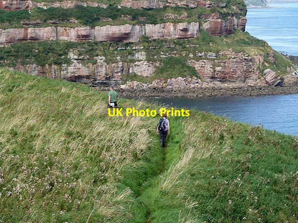 Photo 6"x4" The Berwickshire Coastal Path Marshall Meadows c2012