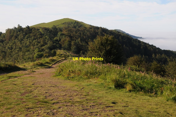 Photo 6"x4" View south from Perseverance Hill Upper Colwall c2012