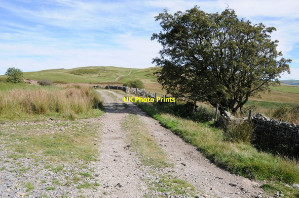 Photo 6"x4" Track near Upper Gilwern Camnant\/SO0956 c2012