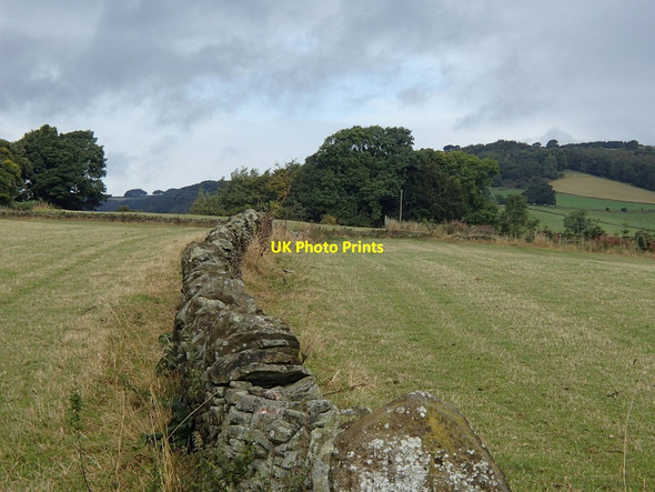 Photo 6"x4" Fields on Hare Knoll Calver c2012