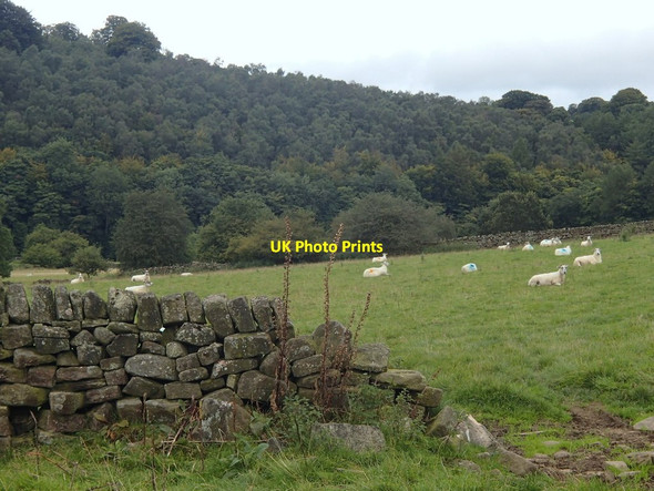 Photo 6"x4" Derwent valley fields Grindleford c2012