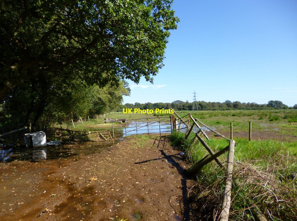 Photo 6"x4" Avon, water meadows Avon\/SZ1498 c2012