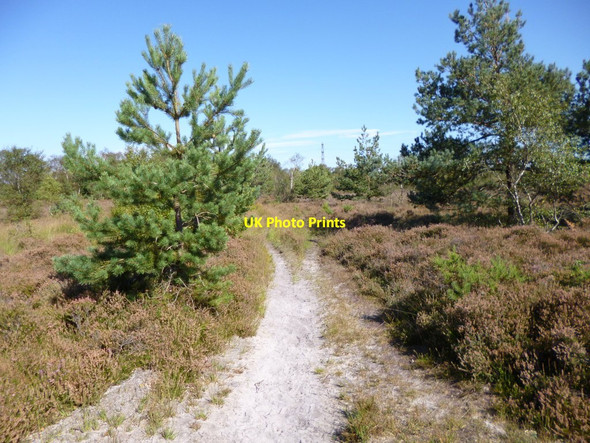 Photo 6"x4" Town Common, permissive bridleway St Catherine's Hill\/SZ1495 c2012