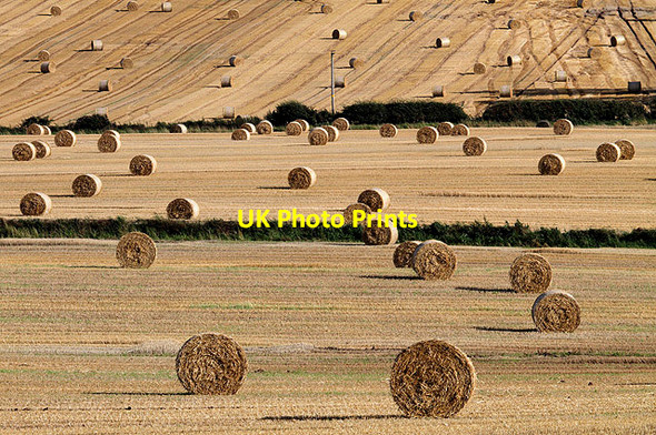 Photo 6"x4" Harvest bales at Whitehillfoot Heiton c2012