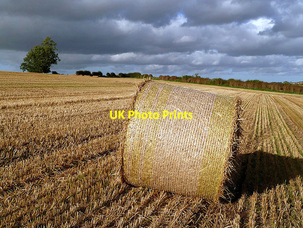 Photo 6"x4" A round bale in a stubble field Heiton c2012