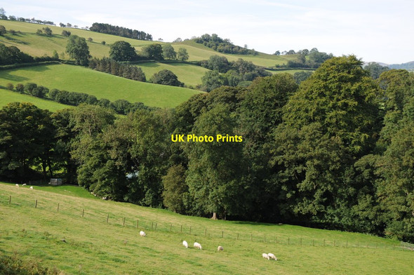 Photo 6"x4" Farmland near Llanwenny Llanfihangel-nant-Melan c2012