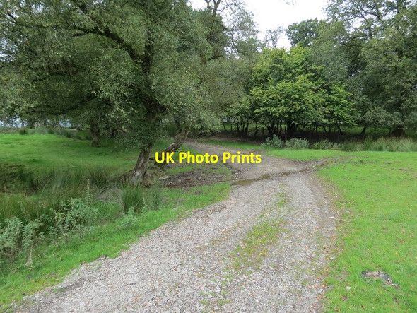Photo 6"x4" Llwybr ceffyl Aber Annell Fach Bridleway Llangammarch Wells c2012