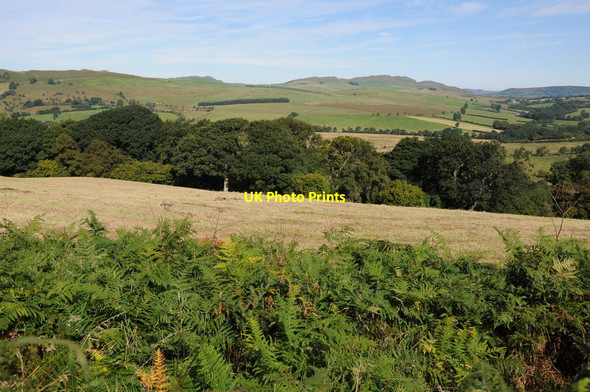 Photo 6"x4" View to Llandegley Rocks Frank's Bridge c2012