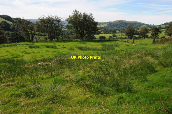 Photo 6"x4" Marshy farmland in the Edw valley Frank's Bridge c2012
