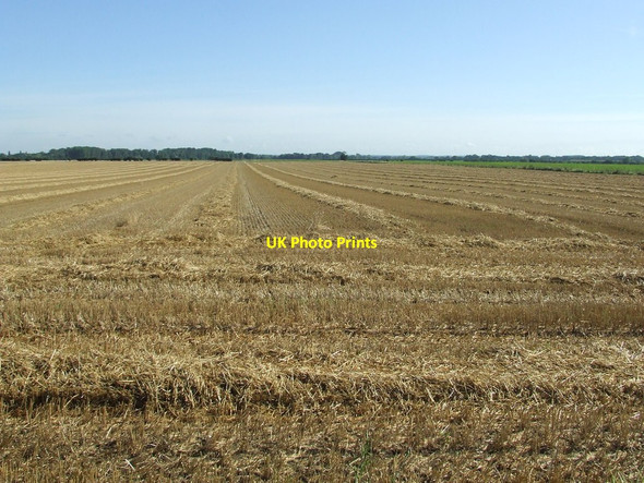 Photo 6"x4" Harvested Field Isleham c2012