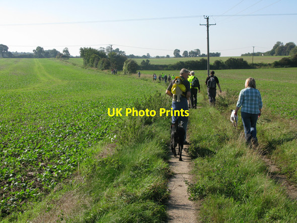 Photo 6"x4" Walkers 'beating the bounds' of Eastry parish Hammill c2010