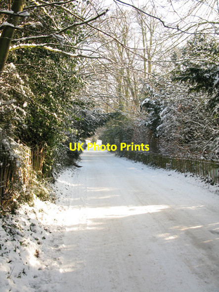 Photo 6"x4" View along Brook Street Buttsole c2010