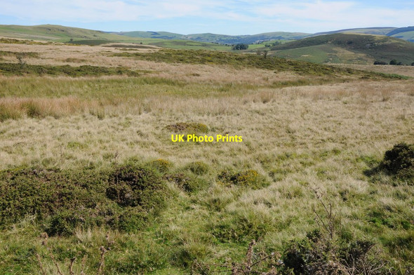 Photo 6"x4" Rough grazing on Gilwern Hill Camnant\/SO0956 c2012