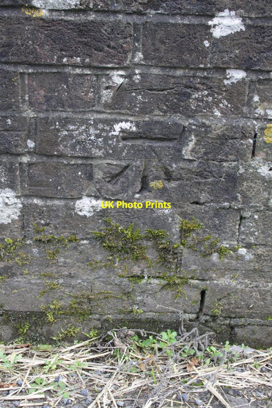 Photo 6"x4" Benchmark on bridge over River Hooke Maiden Newton c2012