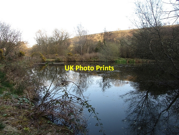 Photo 6"x4" Pond, Westermill Edgcott\/SS8438 c2012