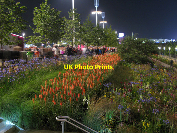 Photo 6"x4" Flower beds at the Olympic Park Stratford\/TQ3884 c2012