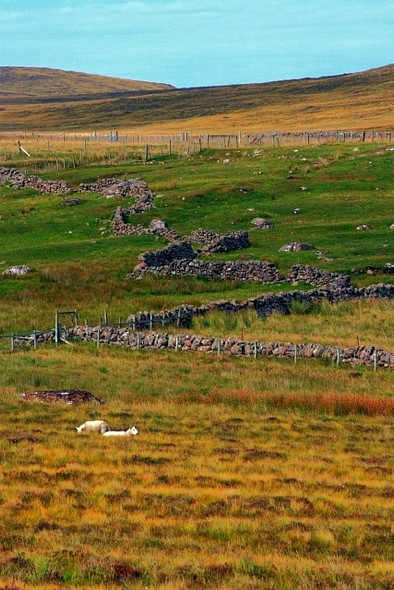 Photo 6"x4" Wriggly Wall, Brae of Achnahaird Brae of Achnahaird c2008