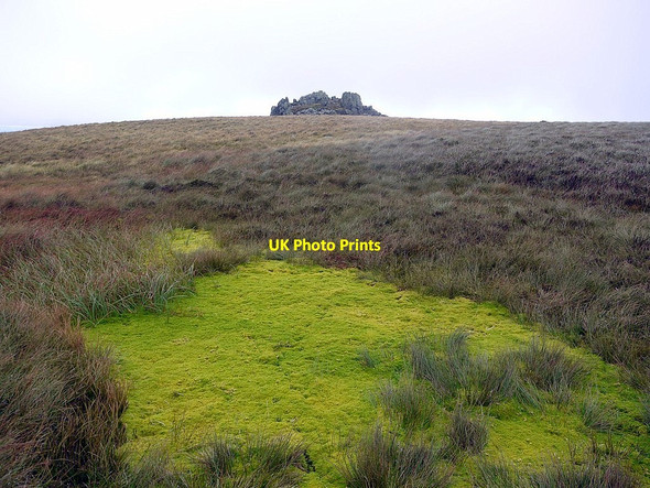 Photo 6"x4" Sphagnum bog south-west of Braydon Crag West Hill\/NT8921 c2012