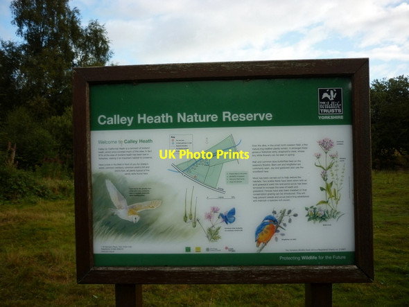 Photo 6"x4" Calley Heath Nature Reserve Barmby Moor c2012