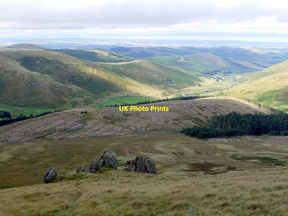 Photo 6"x4" North side of West Hill above College Valley Bizzle Burn c2012
