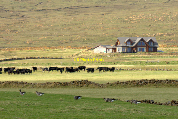 Photo 6"x4" Fields between Buness and Burnside, Baltasound Baltasound c2012