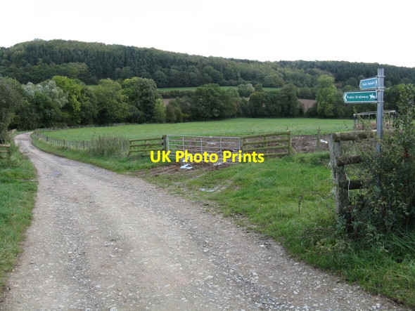 Photo 6"x4" Bridleway to Hall House Suckley c2012