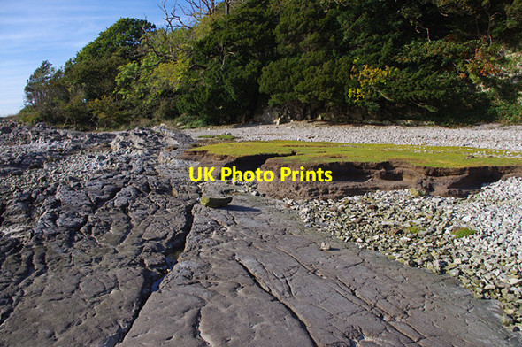 Photo 6"x4" Foreshore between Park Point and Far Arnside Far Arnside c2012