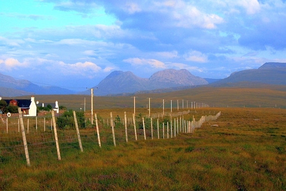 Photo 6"x4" Plantation Near Brae of Achnahaird Brae of Achnahaird c2008