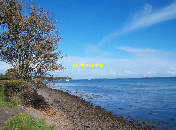 Photo 6"x4" The foreshore at the northern end of Seaside Road, Killyleagh Killyleagh c2012