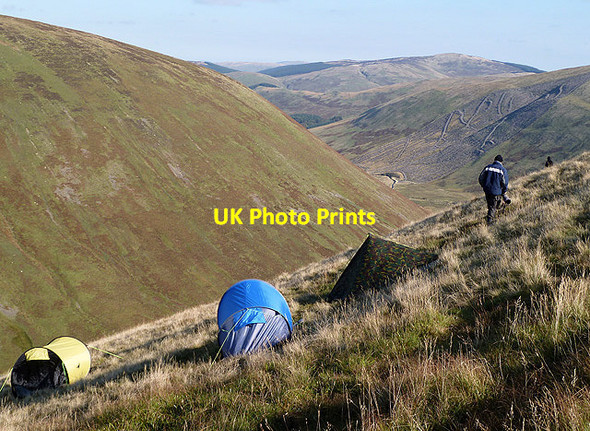 Photo 6"x4" Hill monkeys on Herman Law Herman Law c2012