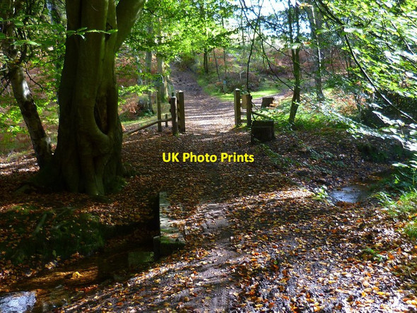 Photo 6"x4" Footbridge at Whiteberry Gate Broadmoor\/TQ1345 c2012