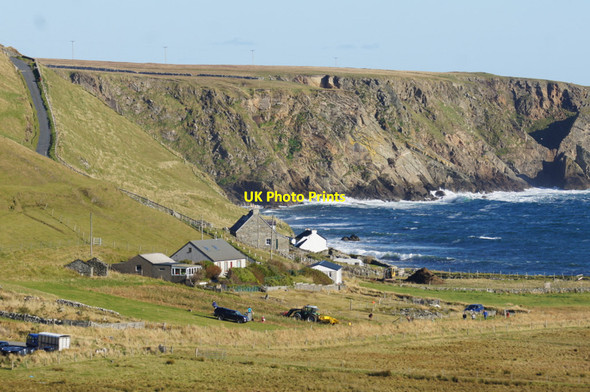 Photo 6"x4" Leawart, Norwick Kirkaton c2012