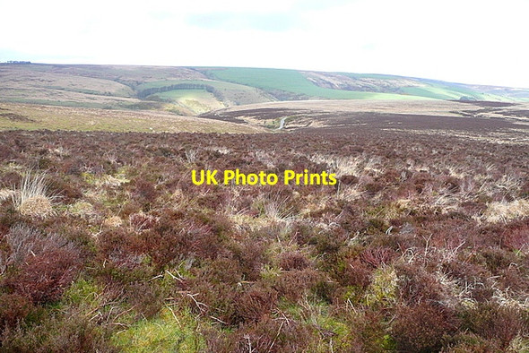 Photo 6"x4" Wilmersham Common Codsend c2012