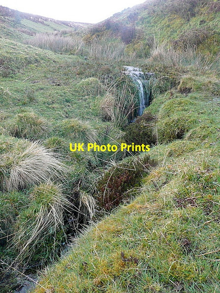 Photo 6"x4" Thurley Combe Codsend c2012