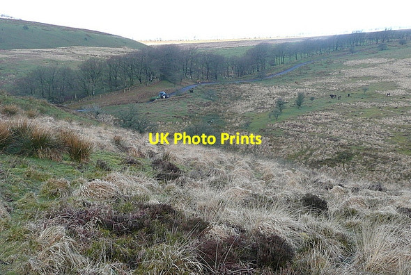 Photo 6"x4" Towards Chetsford Water Edgcott\/SS8438 c2012